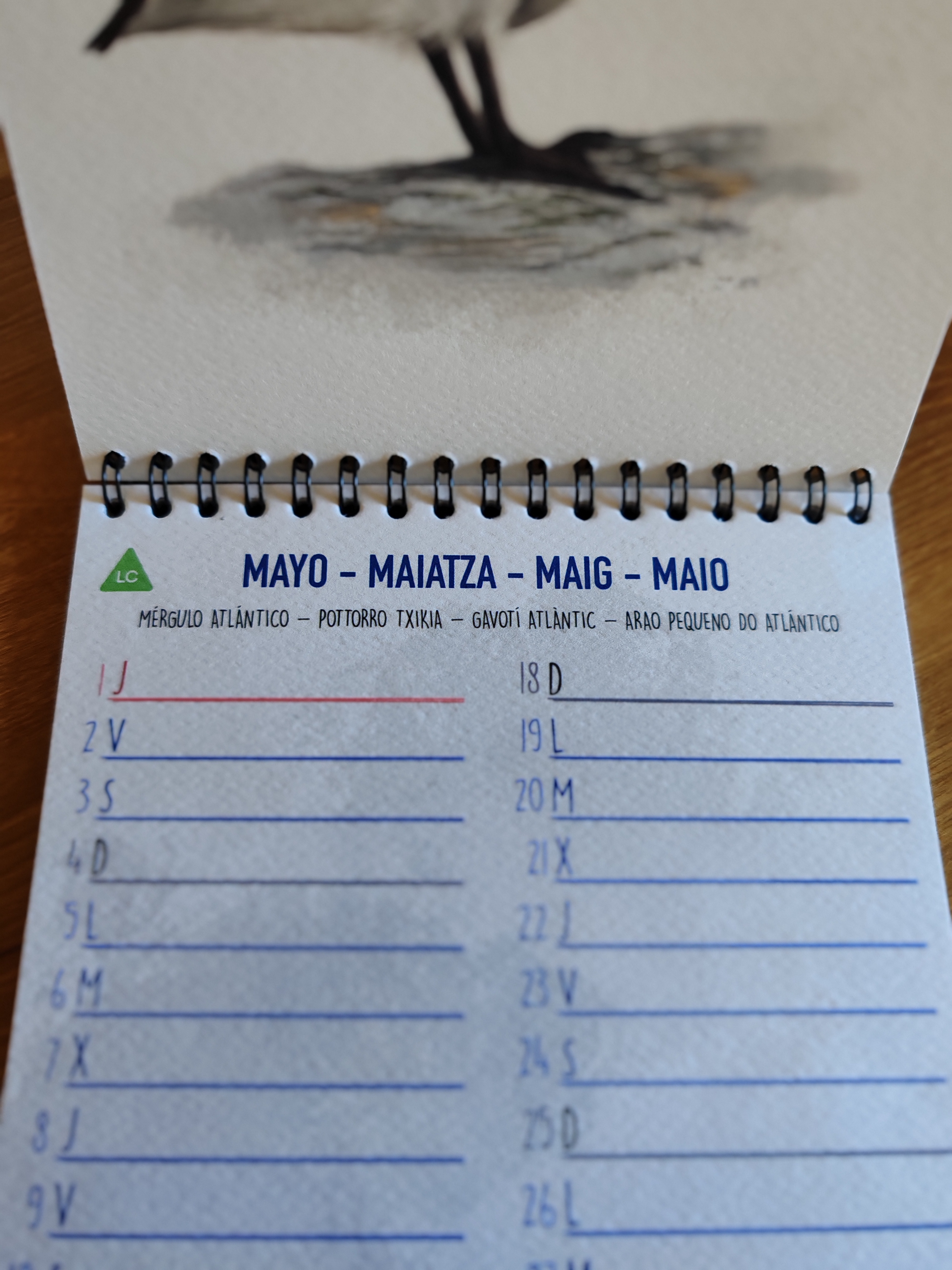 El Calendario de Aves Marinas 2025