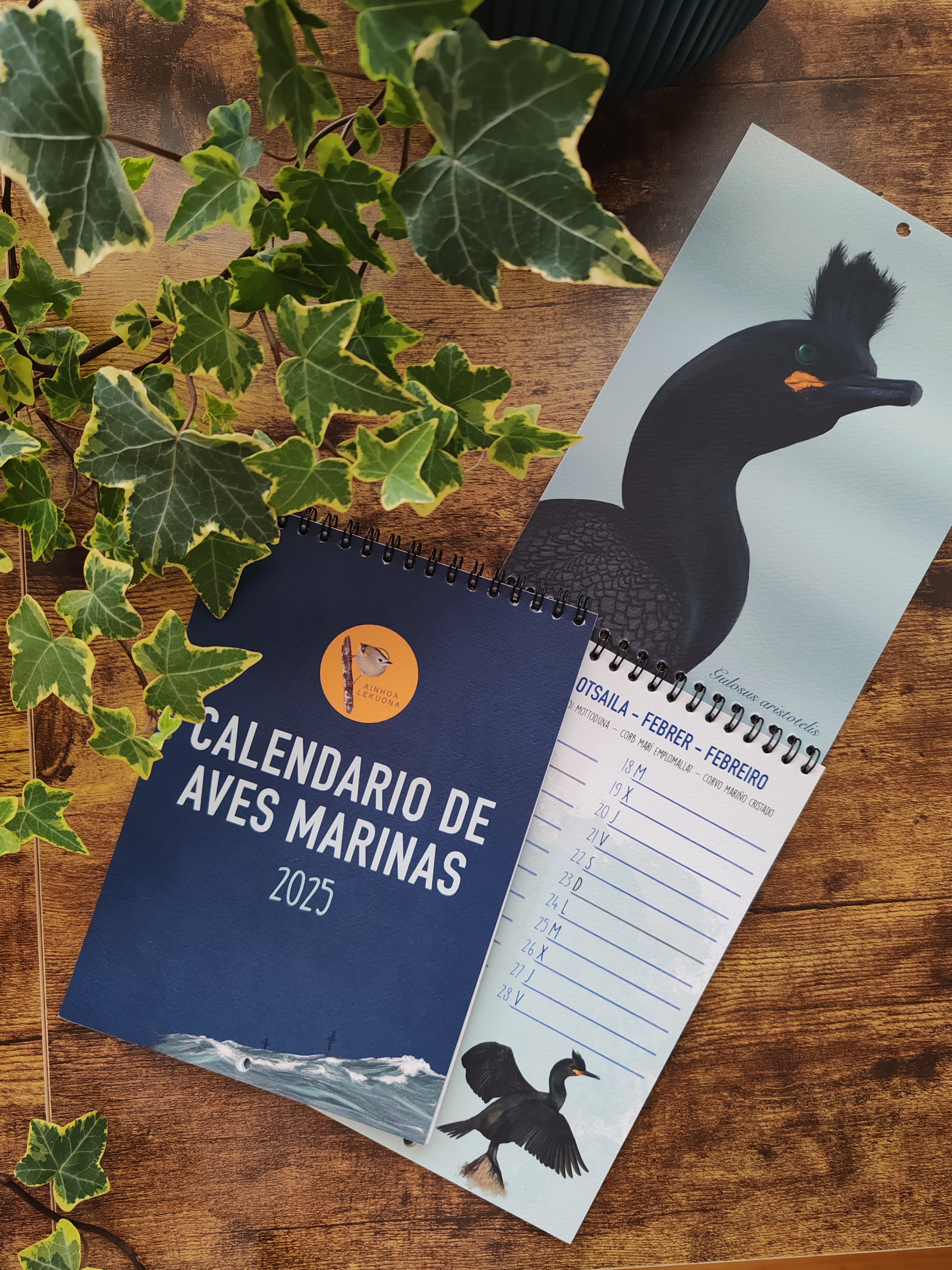 El Calendario de Aves Marinas 2025
