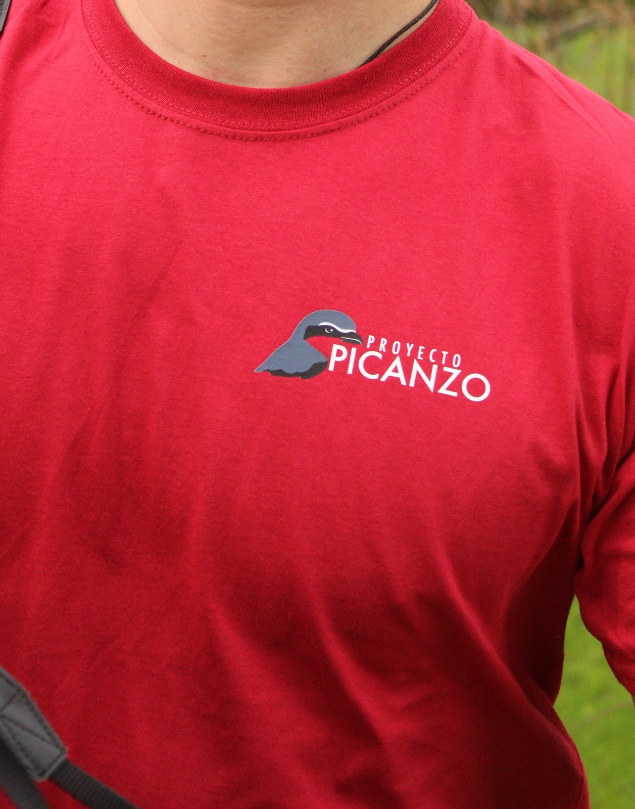 Proyecto PICANZO