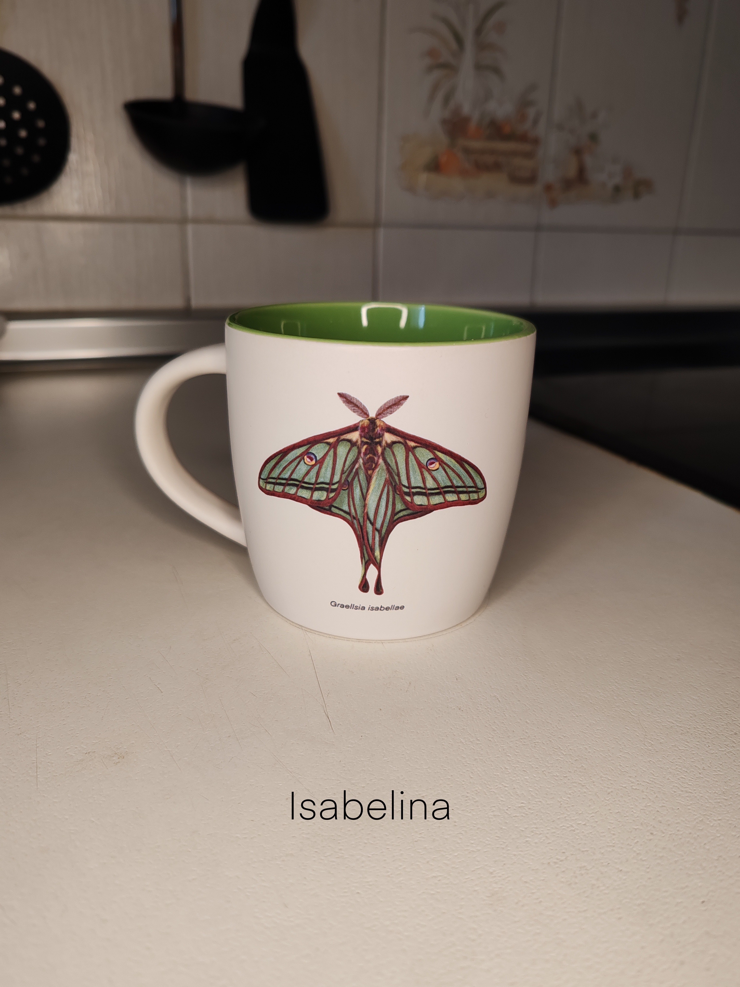 Las mariposas de Loli