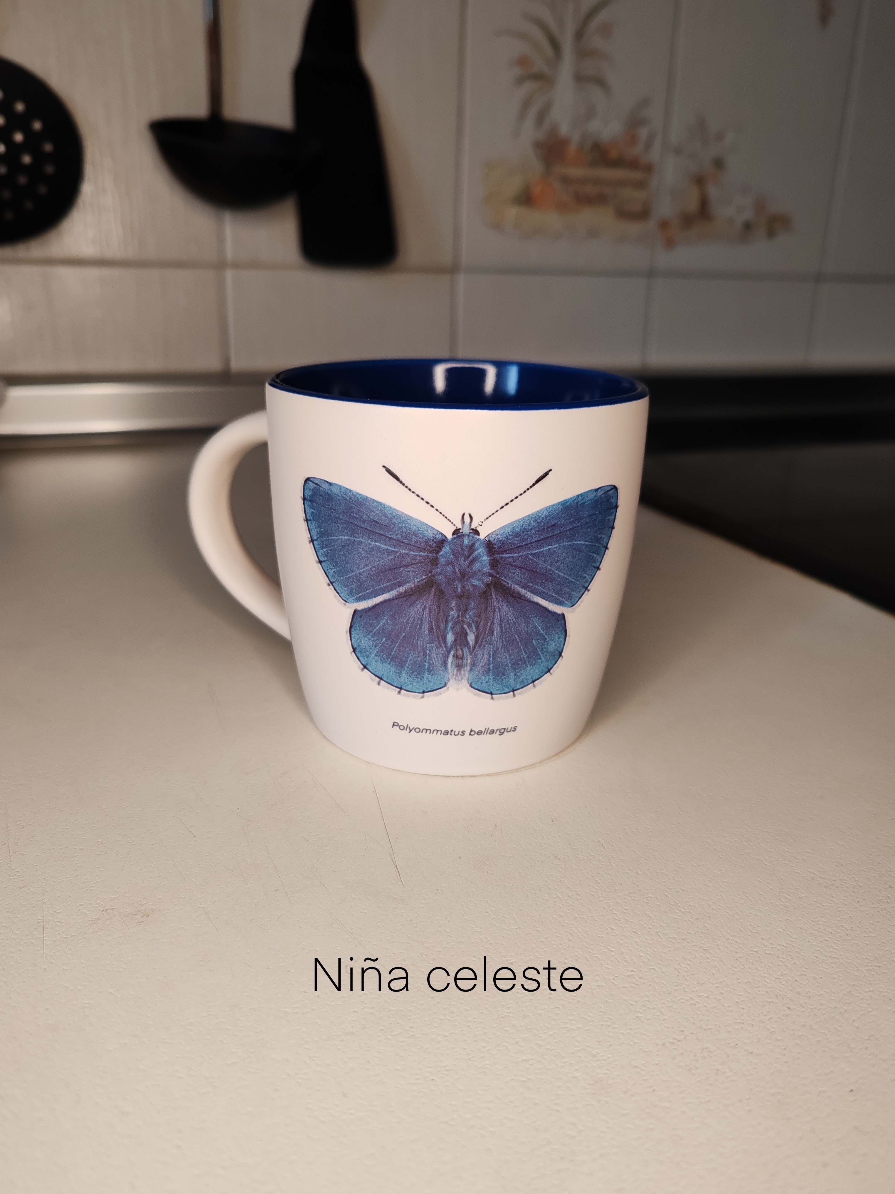 Las mariposas de Loli