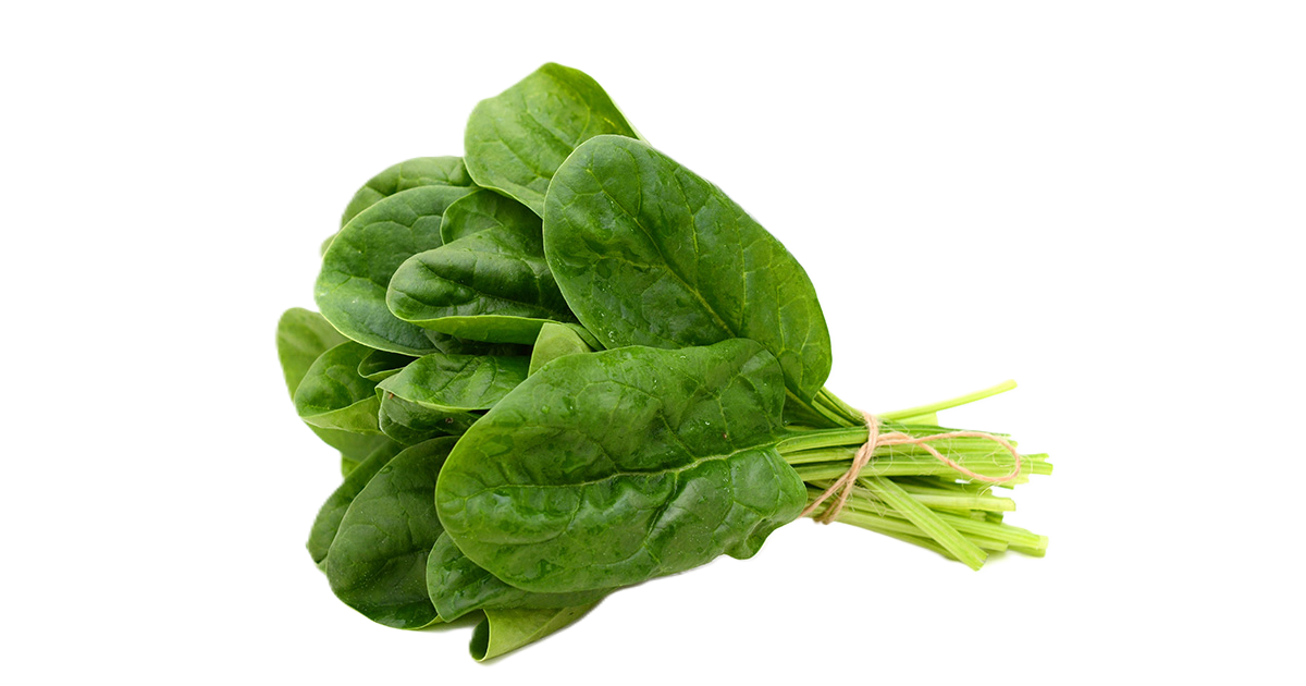 Epinard frais en branche (500g) délicieusement tendres