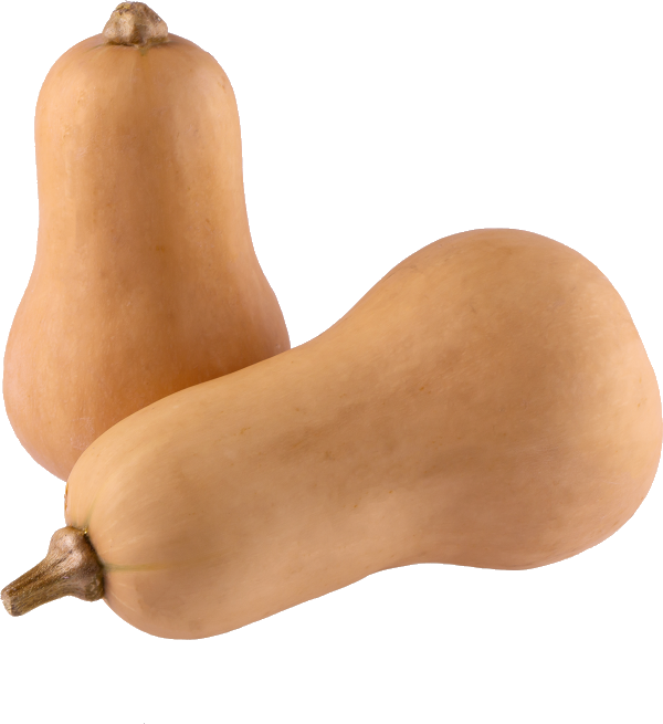 Butternut / Courge (Pièce)