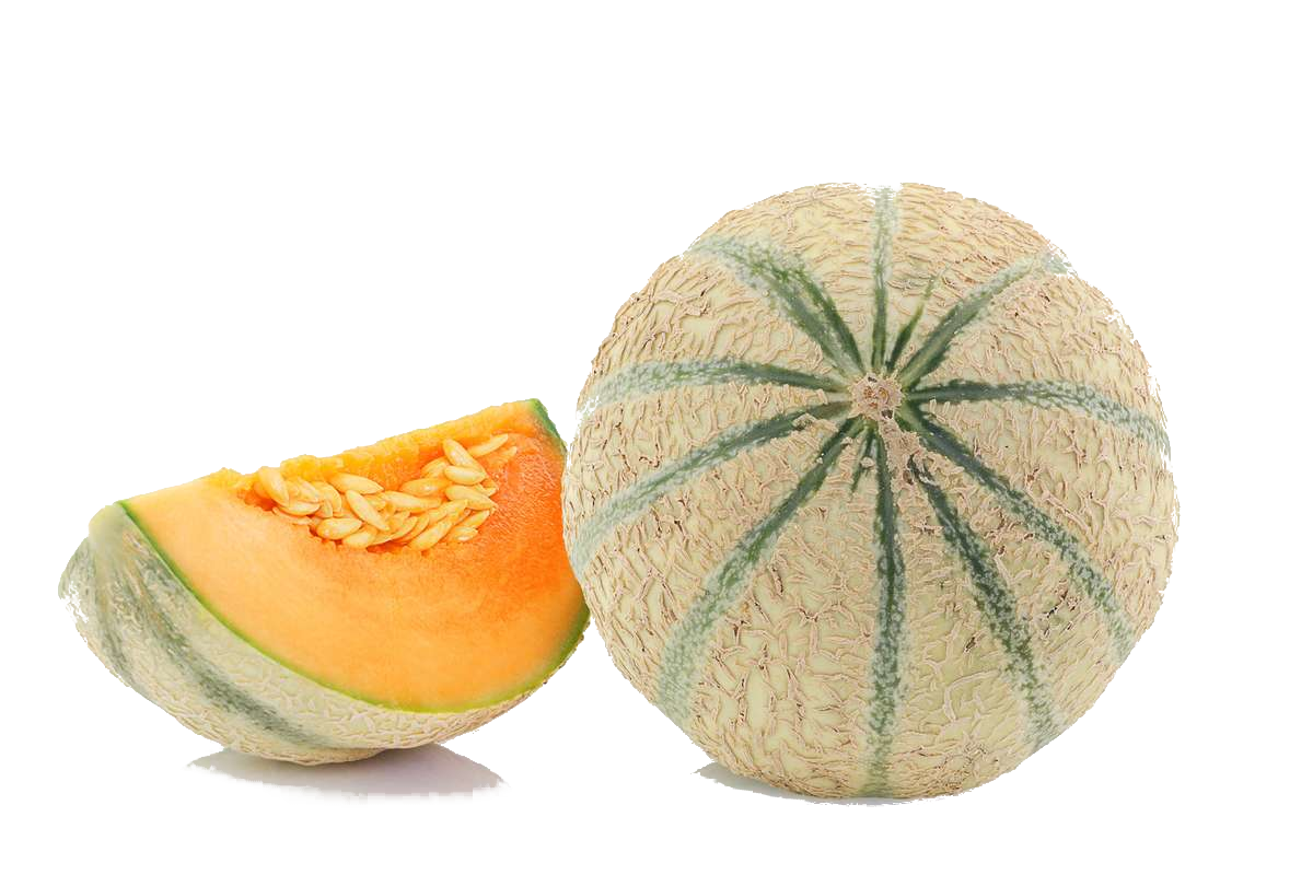 Melon