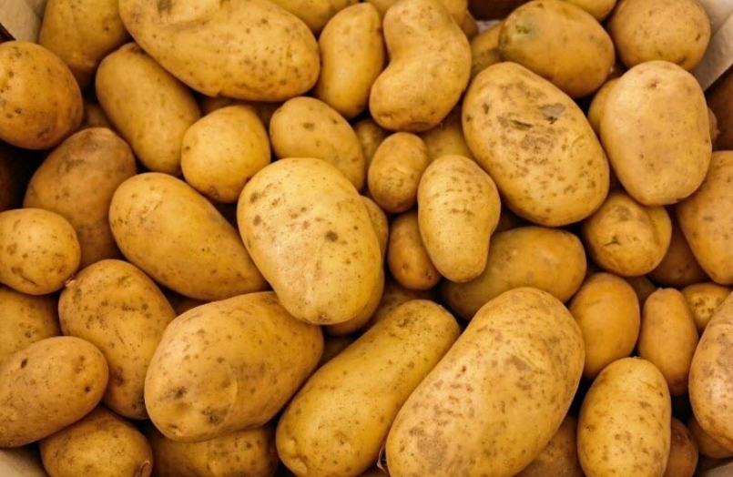 Sac 10kg pomme de terre normandeline (salade, frite, vapeur)