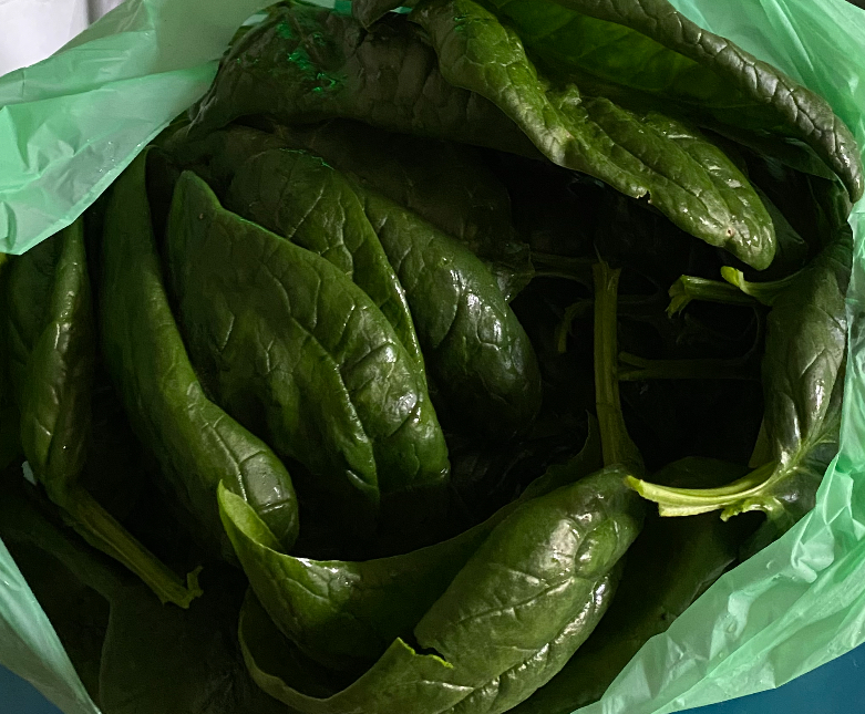 Epinard frais en branche (500g) délicieusement tendres