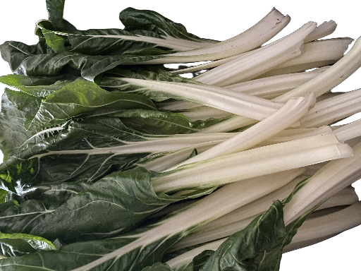 Côtes de blettes (botte de 600gr env) 