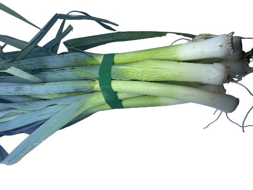 Jeunes Poireaux du Jardin