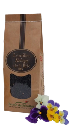Lentilles de la Brie (différentes variétés et poids)