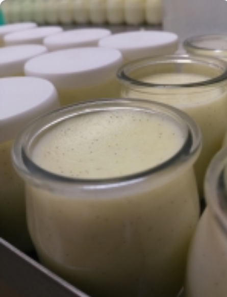 pots de semoule au lait chocolat ou vanille
