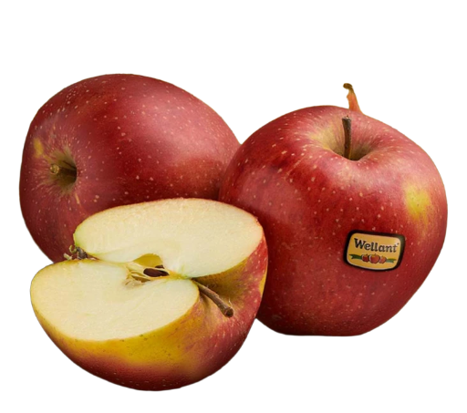 Pommes (Wellant)