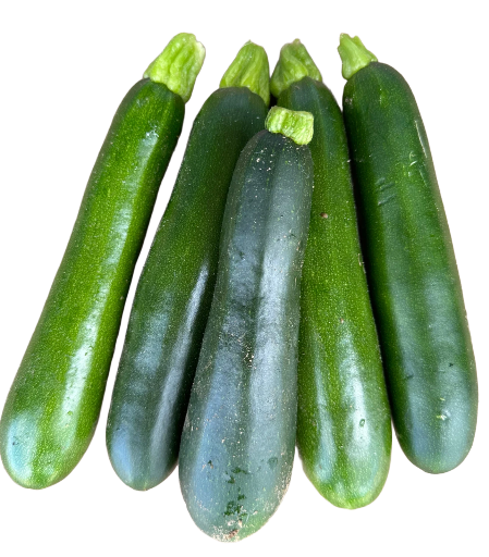 Courgettes (lot de 5, env 1 kg)