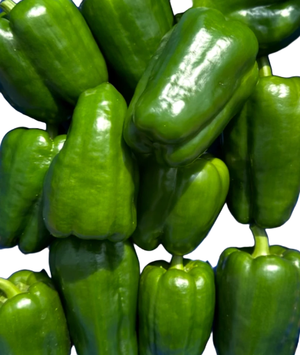 🫑 poivrons verts  (Pièce) ou multicolores
