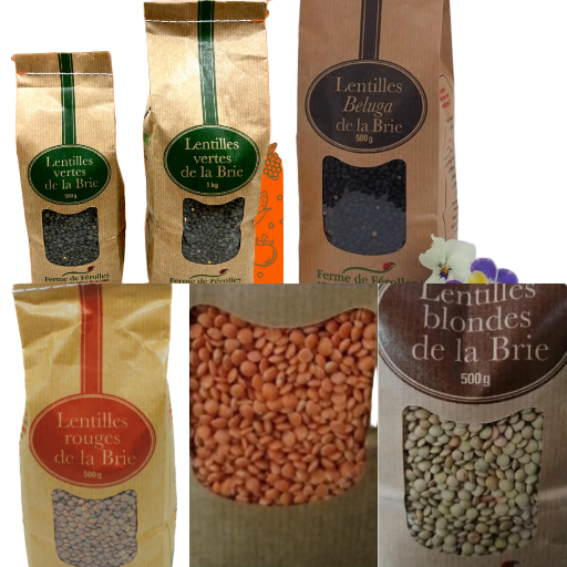 Lentilles de la Brie (différentes variétés et poids)