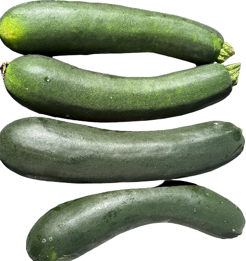 Courgettes (lot de 5, env 1 kg)