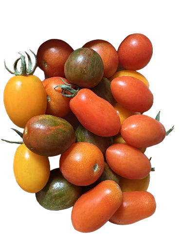 Tomates cocktails panachées 