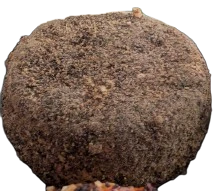 Petit fromage frais nature ou différentes saveurs