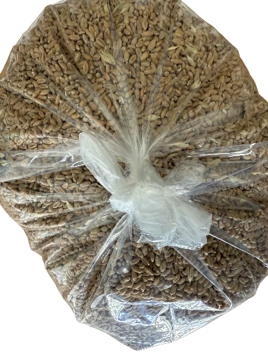 Sac de blé récolte nouvelle 