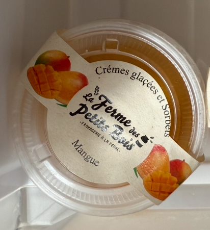 Crème glacée aux parfums différents pot de 110gr
