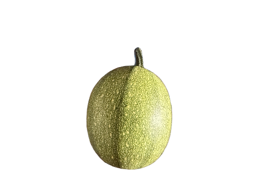 Courge spaghetti