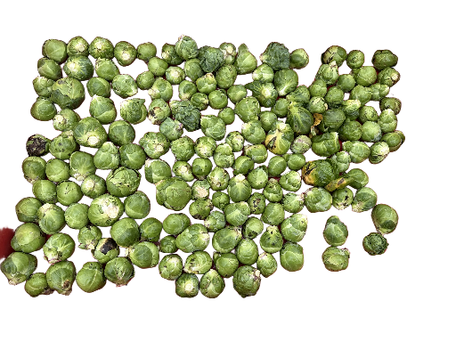 Choux de Bruxelles frais