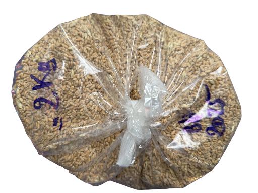 Sac de blé récolte nouvelle 