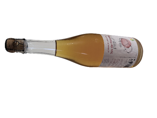 Jus de pomme pétillant 