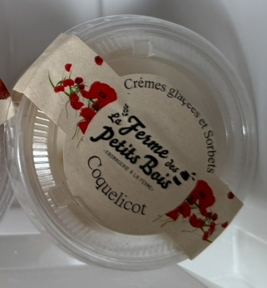 Crème glacée aux parfums différents pot de 110gr