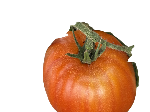 Tomate rouge ou Orange  (au kg)