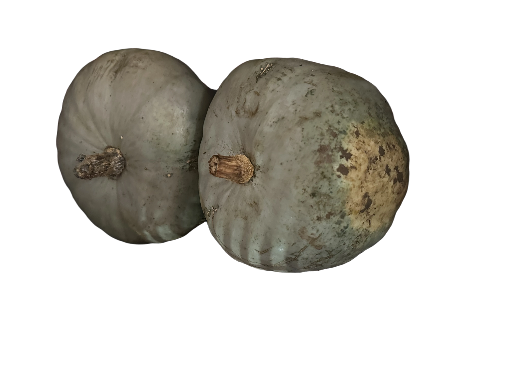 Potiron Courge Betty blue