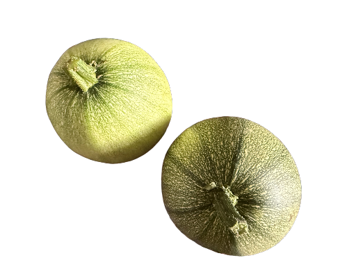 Courge spaghetti
