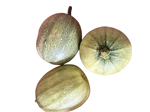Courge spaghetti