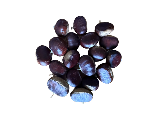 Chataigne fraiche (500gr env)