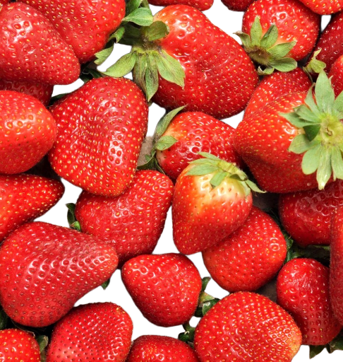 Fraises 🍓du jardin du Tertre