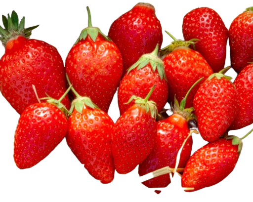 Fraises 🍓du jardin du Tertre