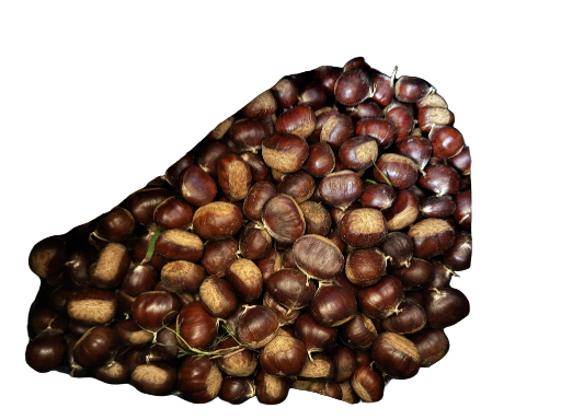 Chataignes fraîches