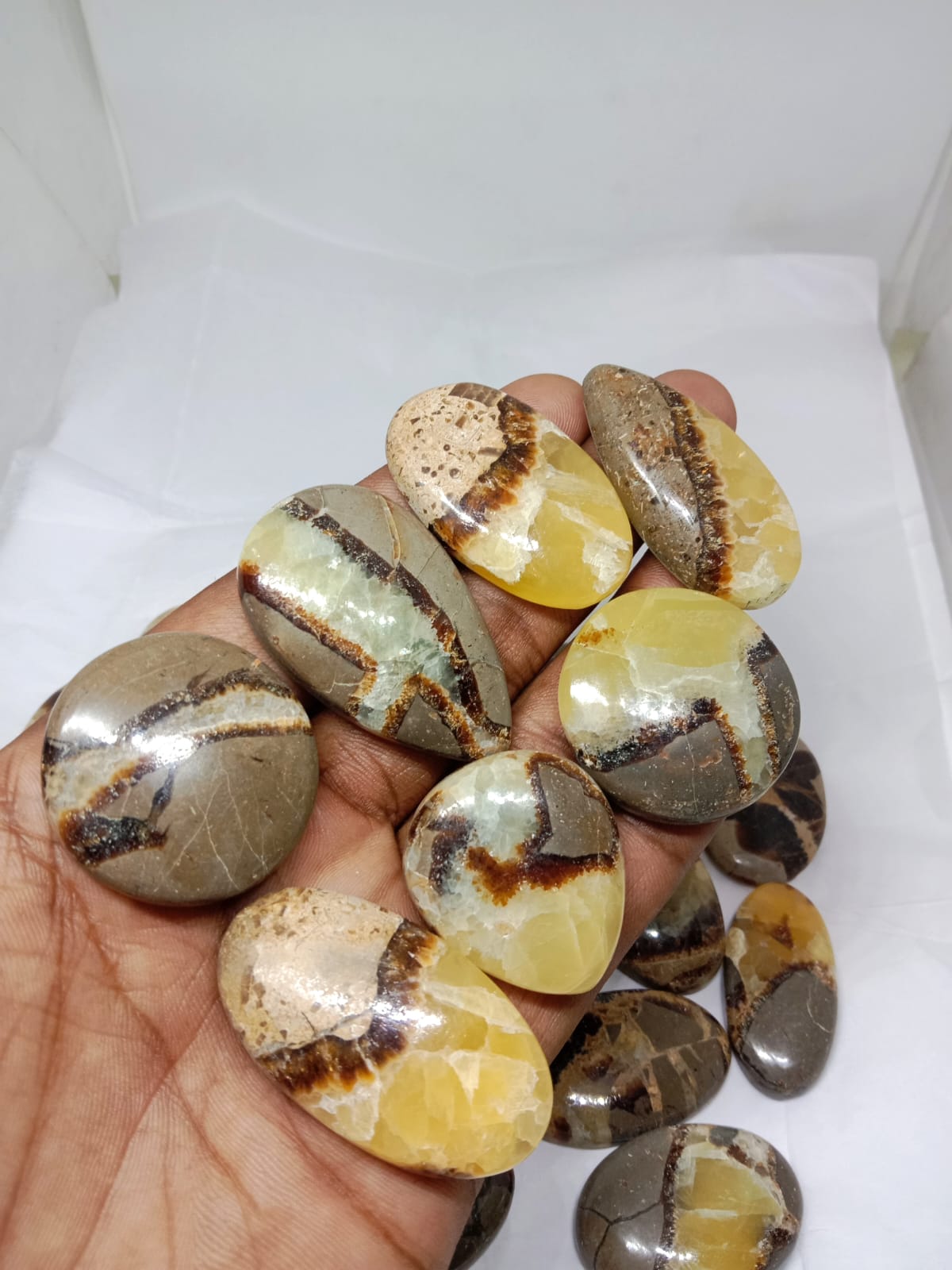 Natural Septarian Jasper Cabochon (Natural) 