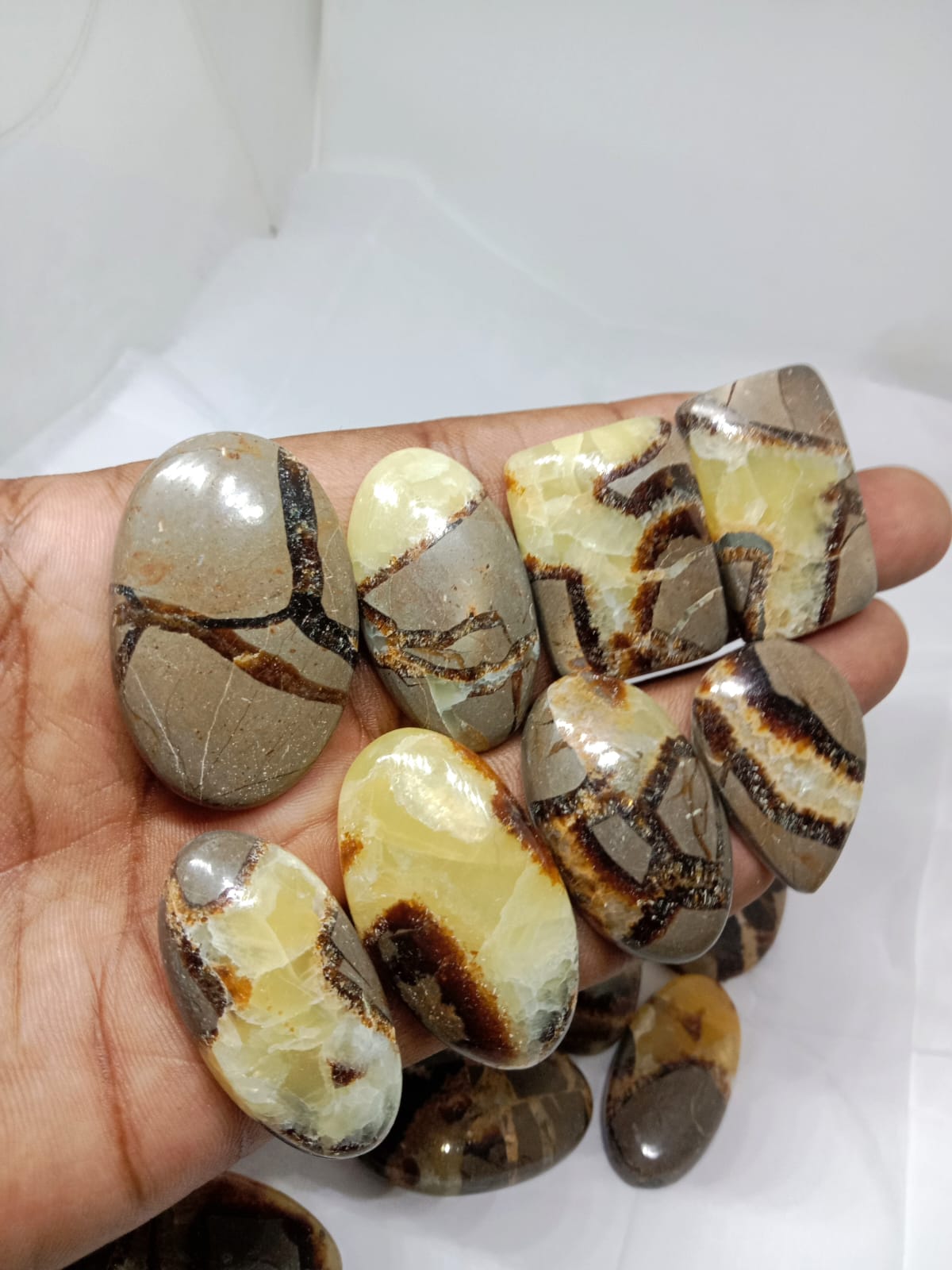 Natural Septarian Jasper Cabochon (Natural) 