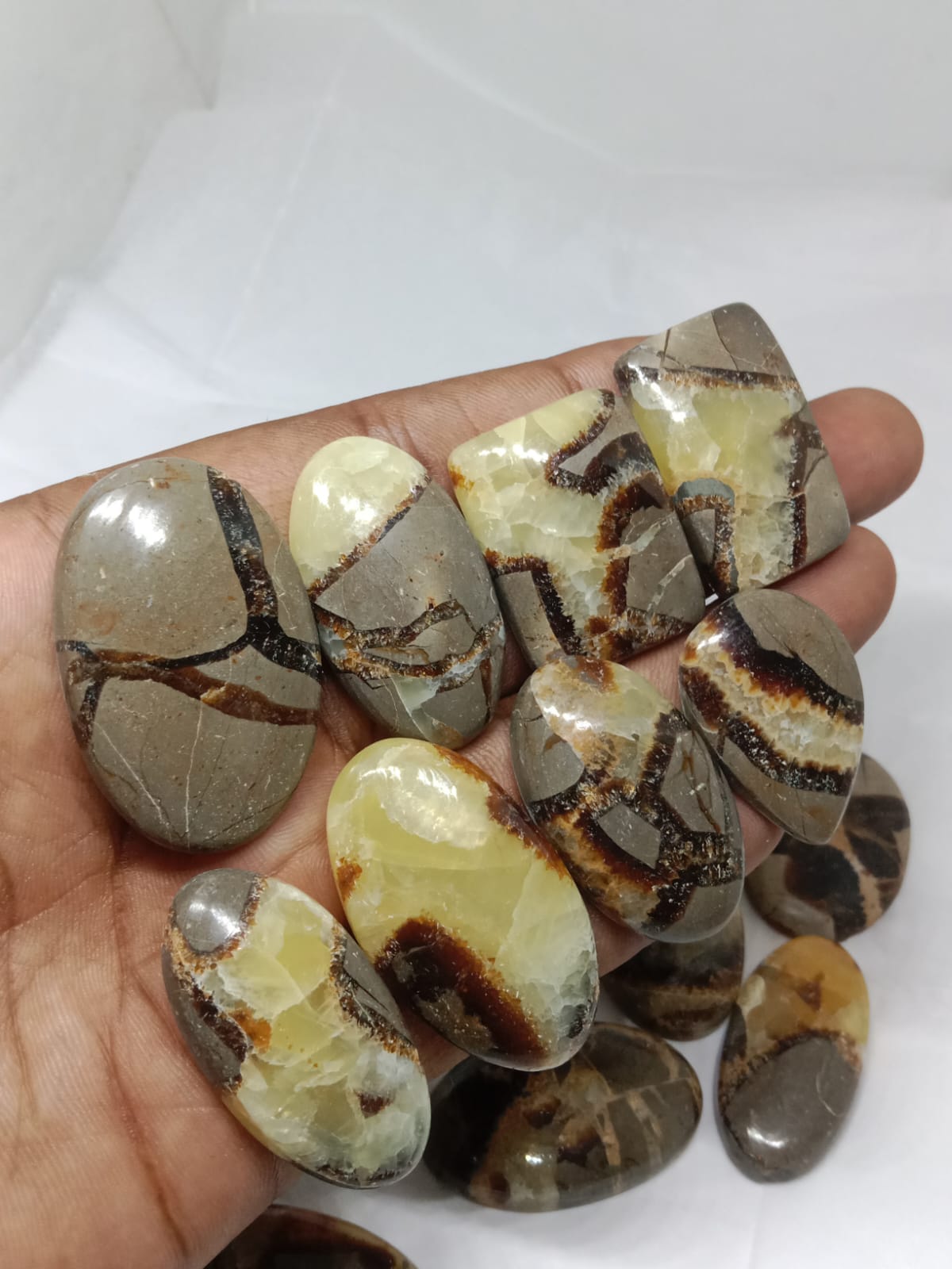 Natural Septarian Jasper Cabochon (Natural) 