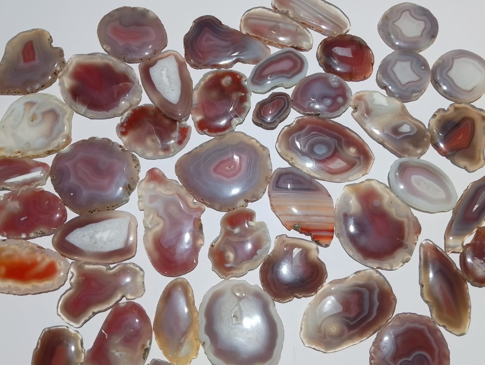 Natural Botswana Agate  slice  (Natural) 