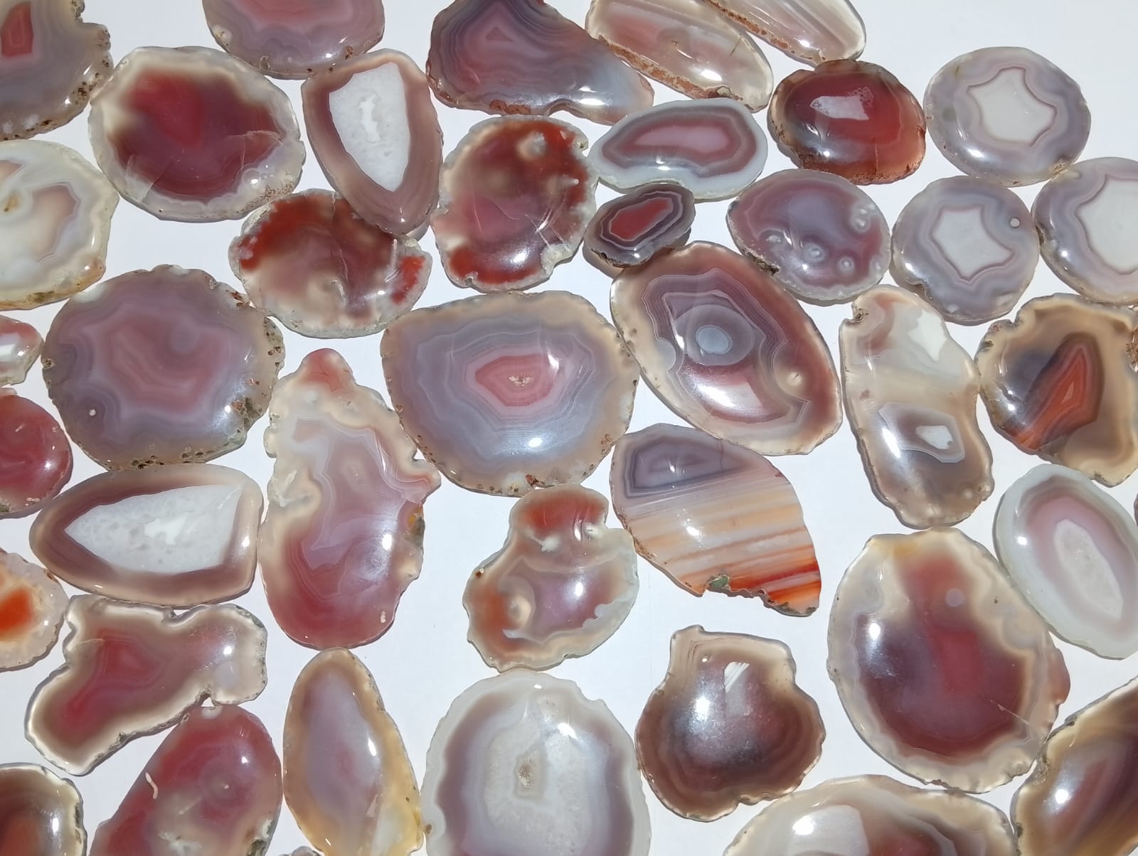 Natural Botswana Agate slice (Natural)