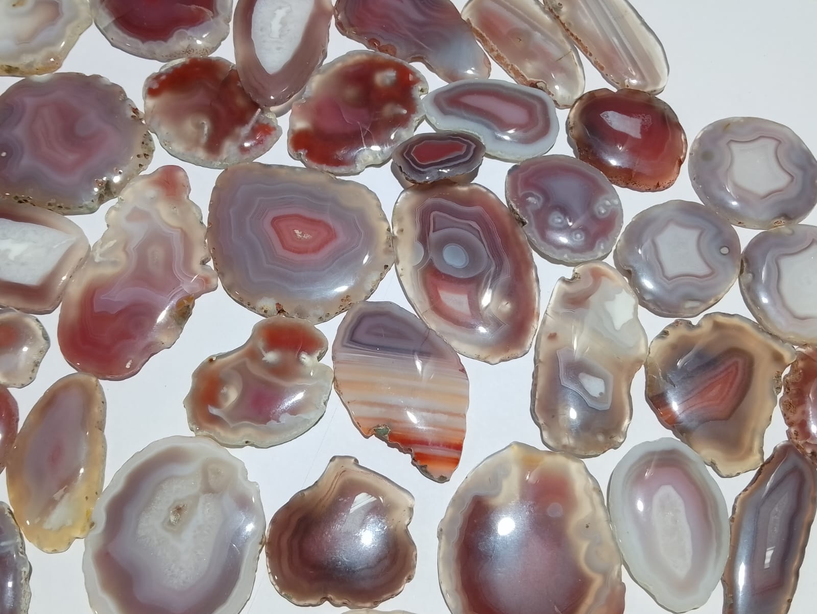 Natural Botswana Agate  slice  (Natural) 