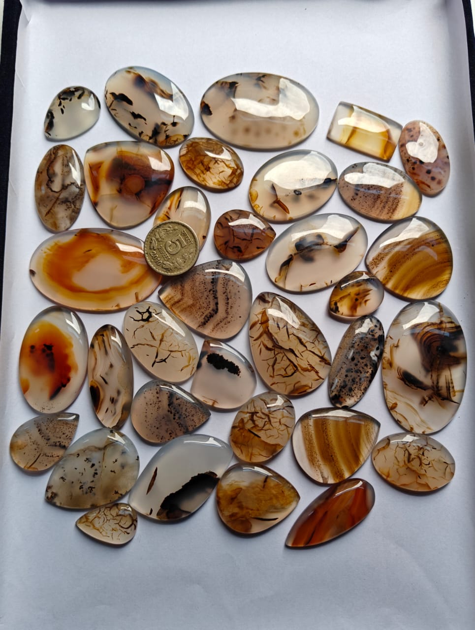 Natural Montana Agate Mix Shape Gemstone (Cabochon )