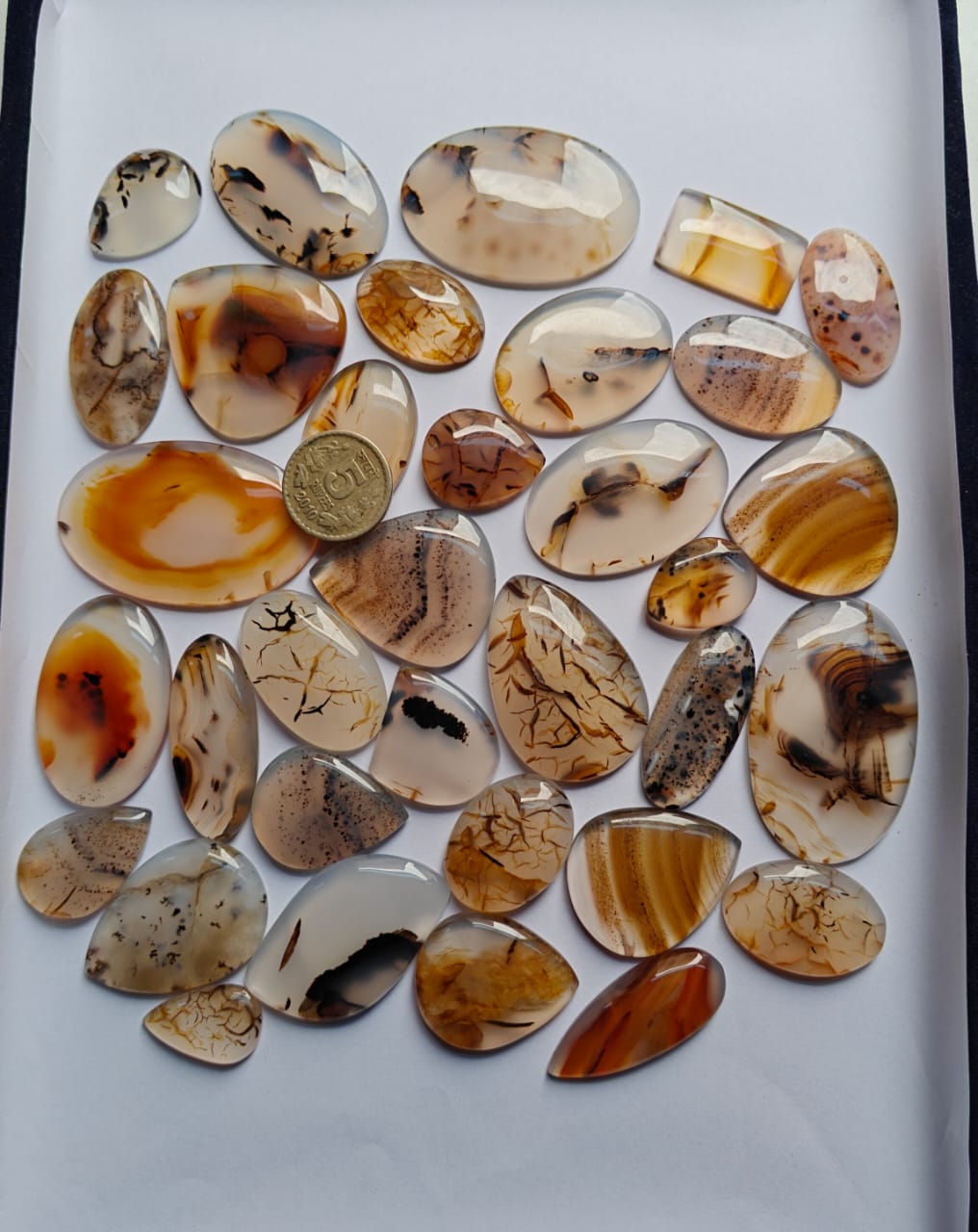 Natural Montana Agate Mix Shape Gemstone (Cabochon )