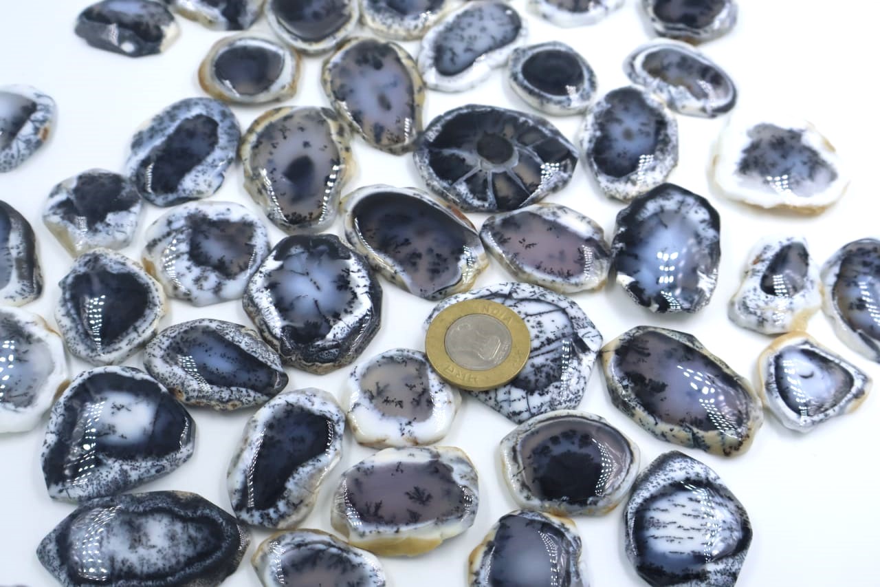 Natural Dendrite opal  Slice Mix Shape Gemstone (Cabochon )