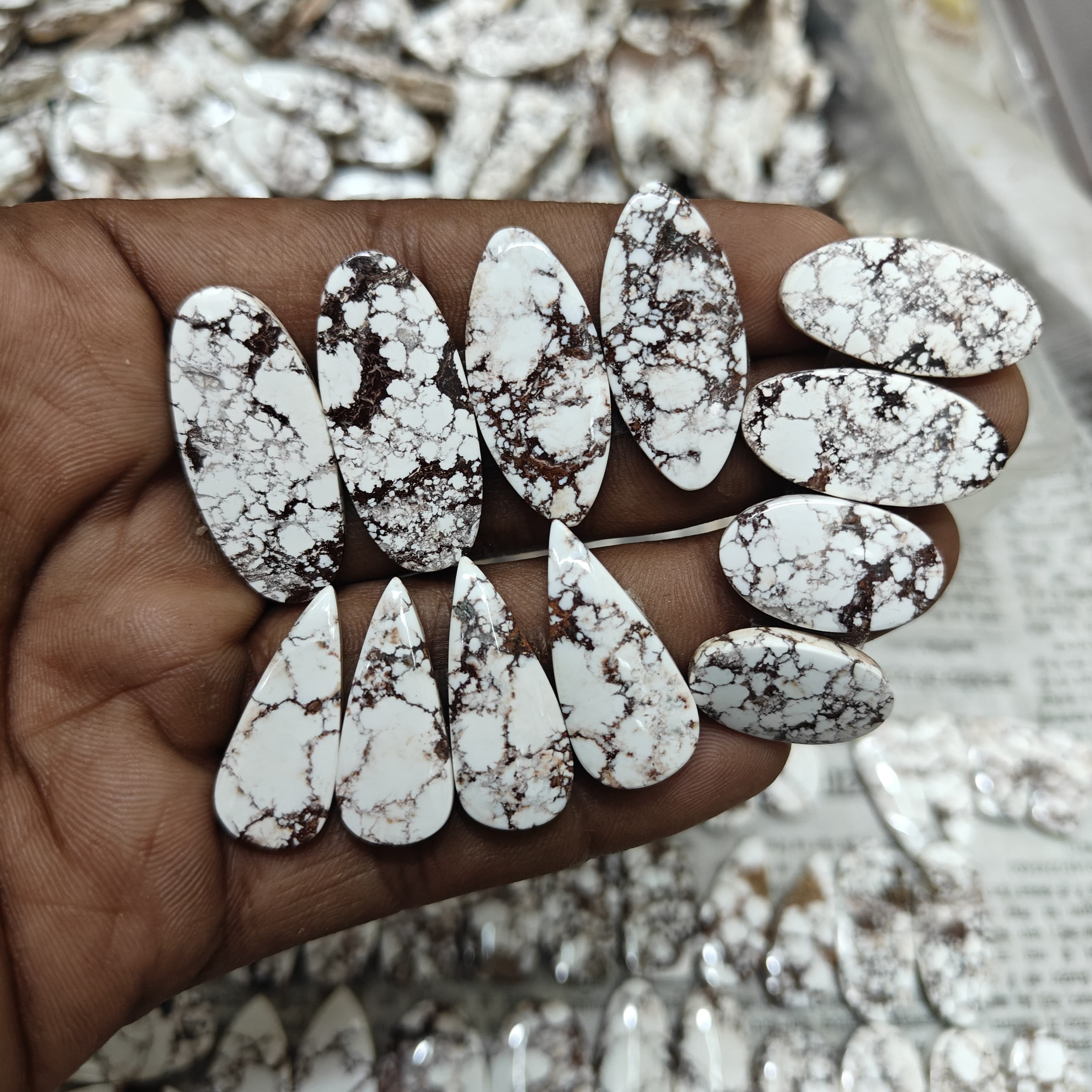Natural Wild horse pair  Mix Shape Gemstone (Cabochon )