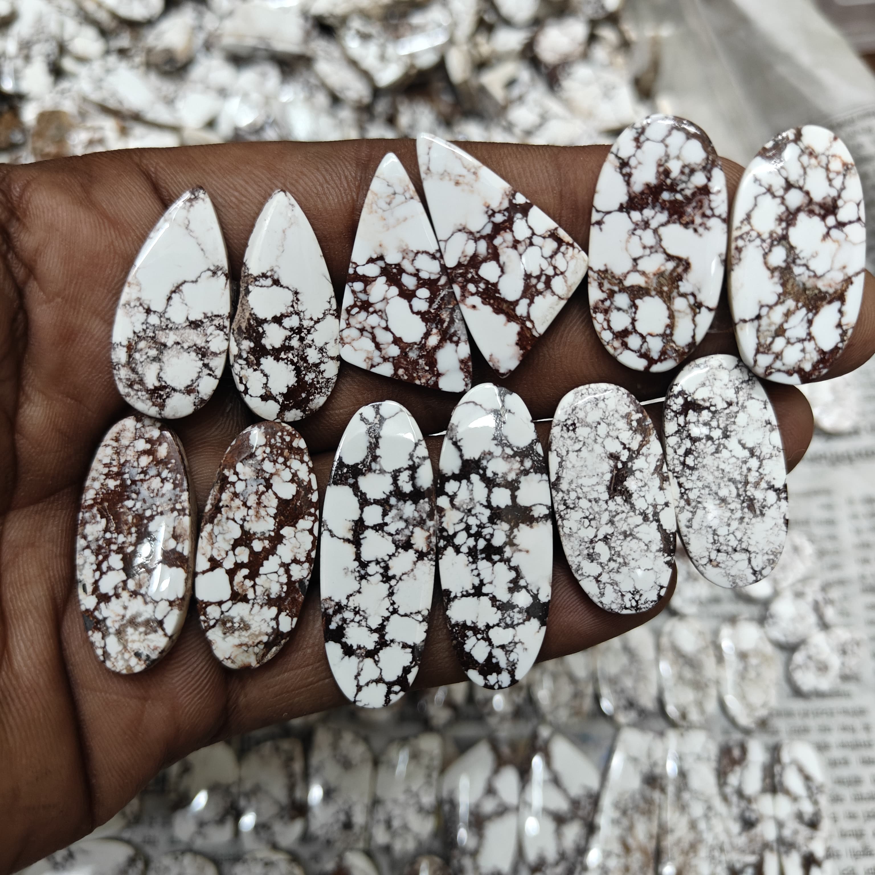 Natural Wild horse pair  Mix Shape Gemstone (Cabochon )