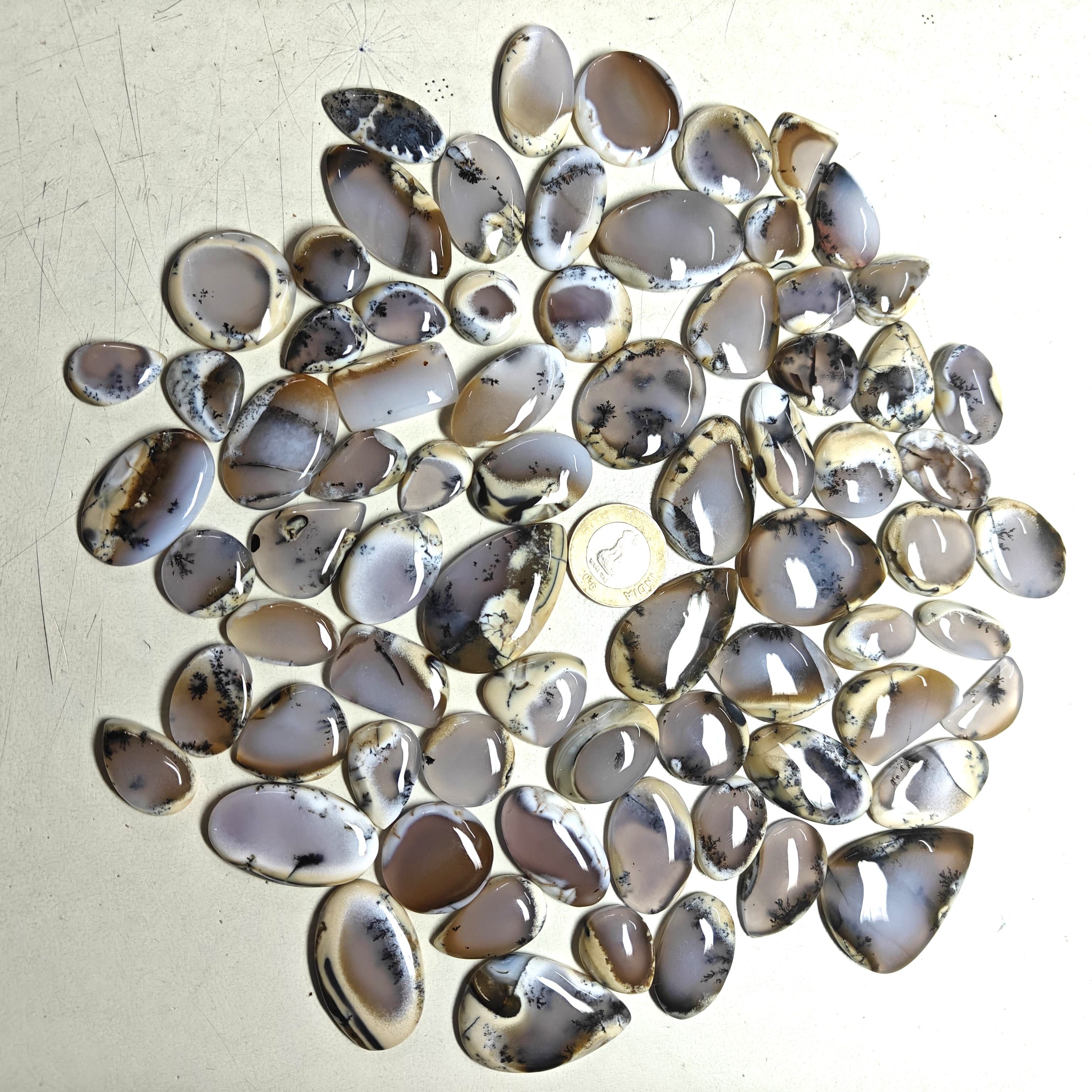 Natural Dendrite Opal  Mix-Size Gemstone (Cabochon ) Dendrite Opal  