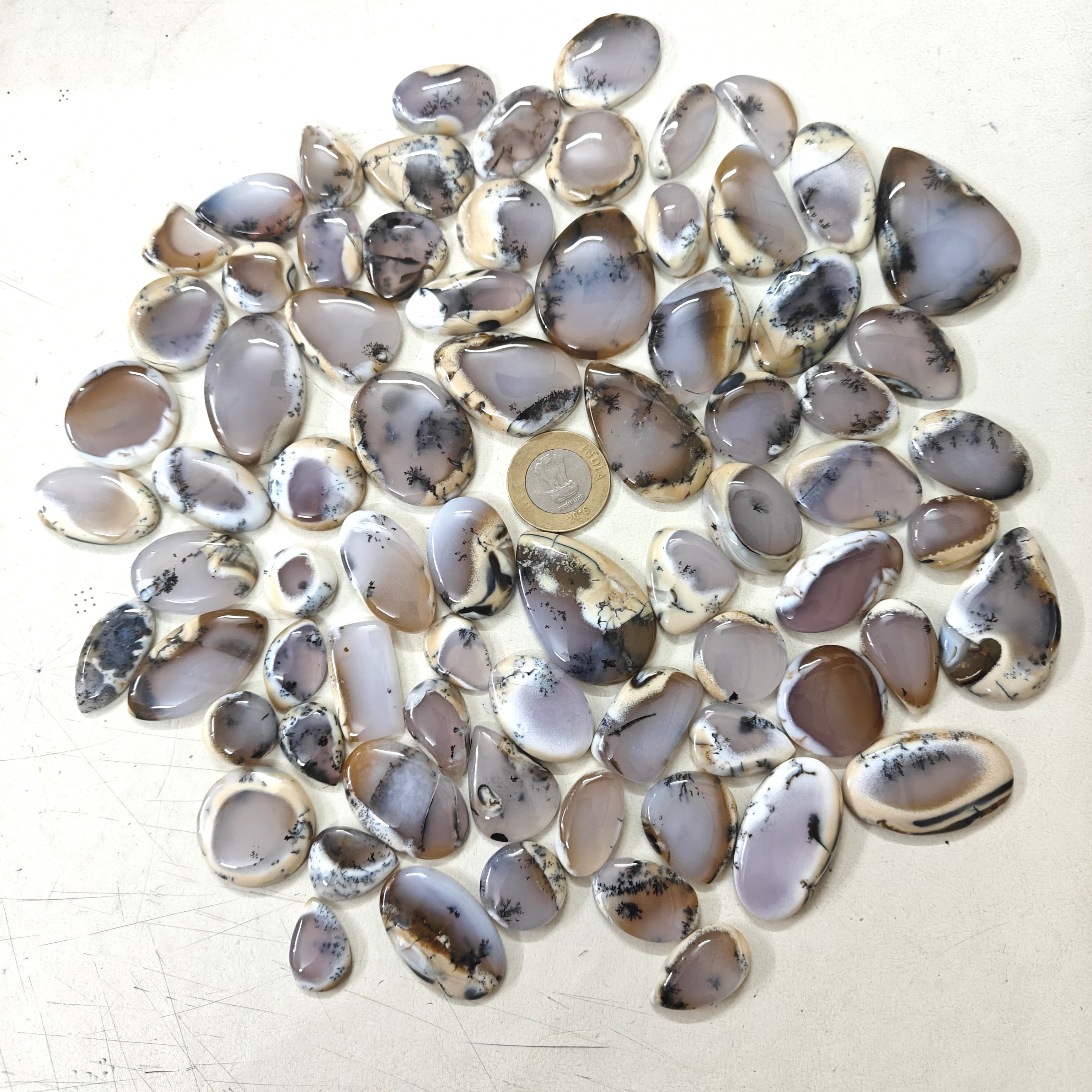Natural Dendrite Opal  Mix-Size Gemstone (Cabochon ) Dendrite Opal  