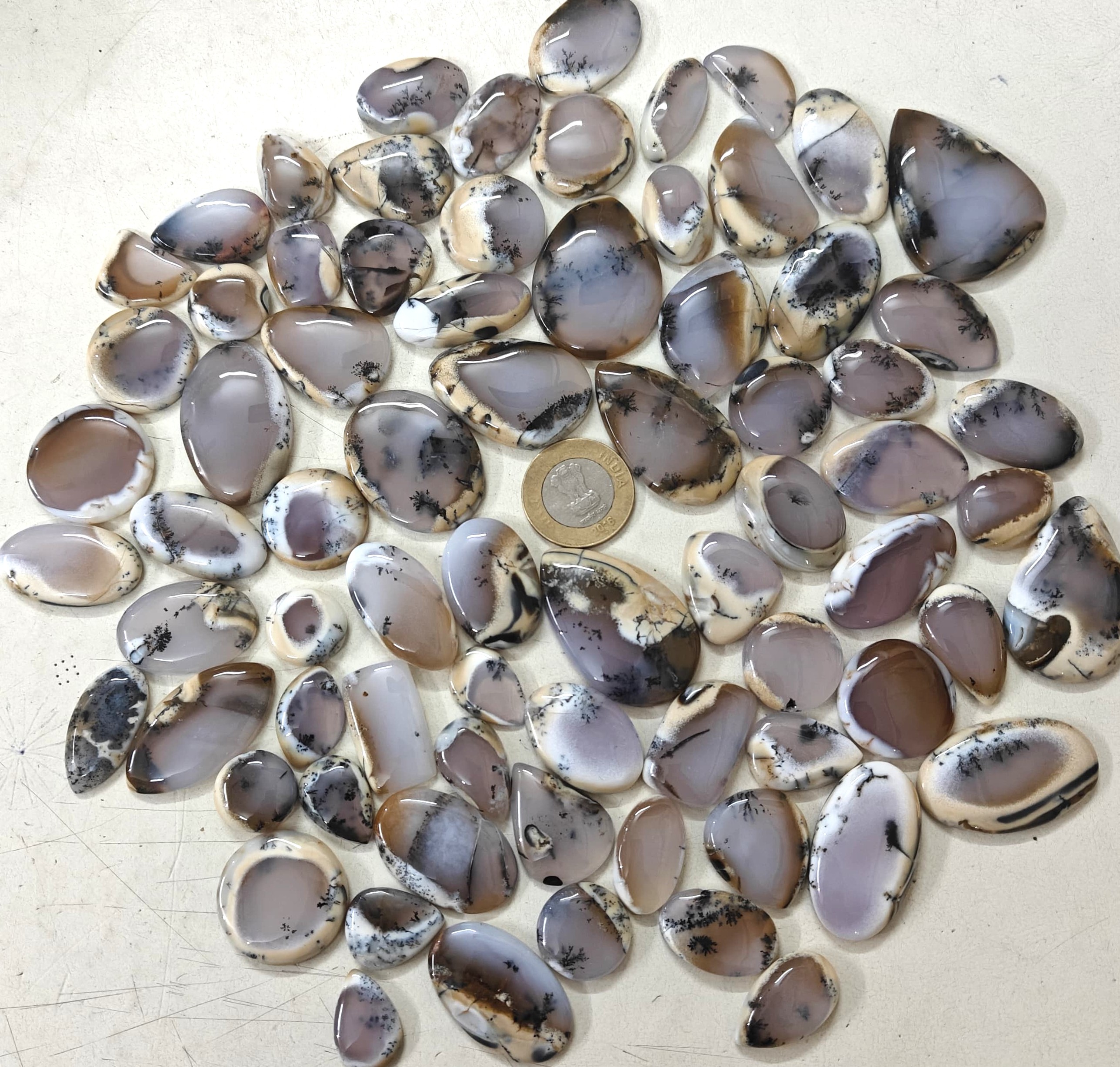 Natural Dendrite Opal  Mix-Size Gemstone (Cabochon ) Dendrite Opal  